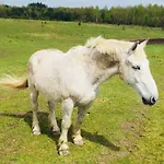 Sosnowy Zakatek Prázdninový dům