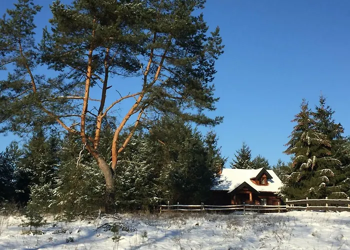 Sosnowy Zakatek * Zyzdrojowy Piecek