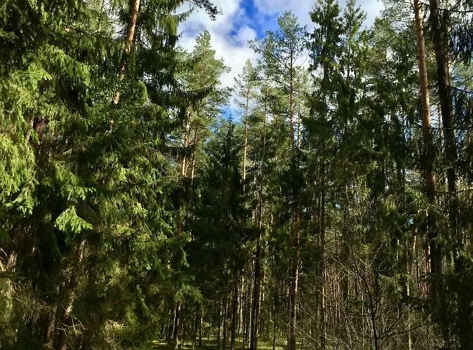 Sosnowy Zakatek Дом отдыха Zyzdrojowy Piecek