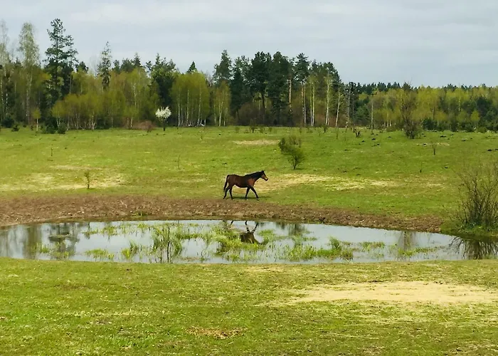 Сasa de vacaciones Sosnowy Zakatek *