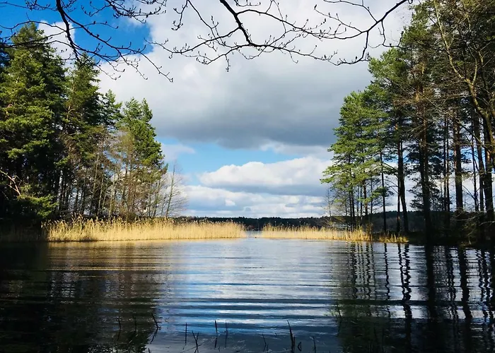 Sosnowy Zakatek * Zyzdrojowy Piecek