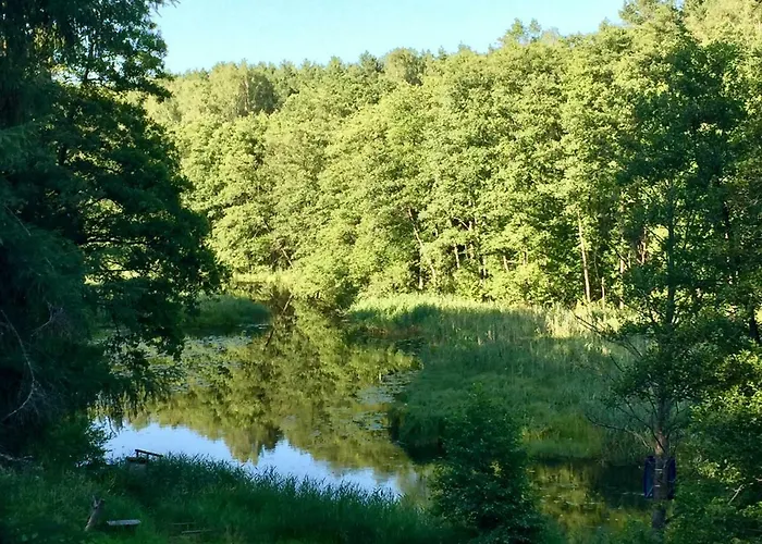 Сasa de vacaciones Sosnowy Zakatek Zyzdrojowy Piecek